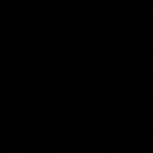 Meet your Posher, Shea